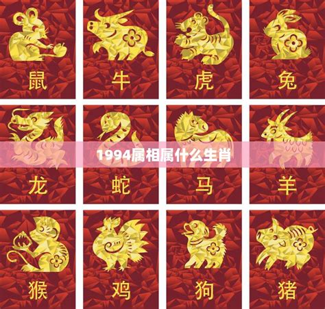 1994 屬什麼|1994年属什么生肖 和什么属相婚配最合适